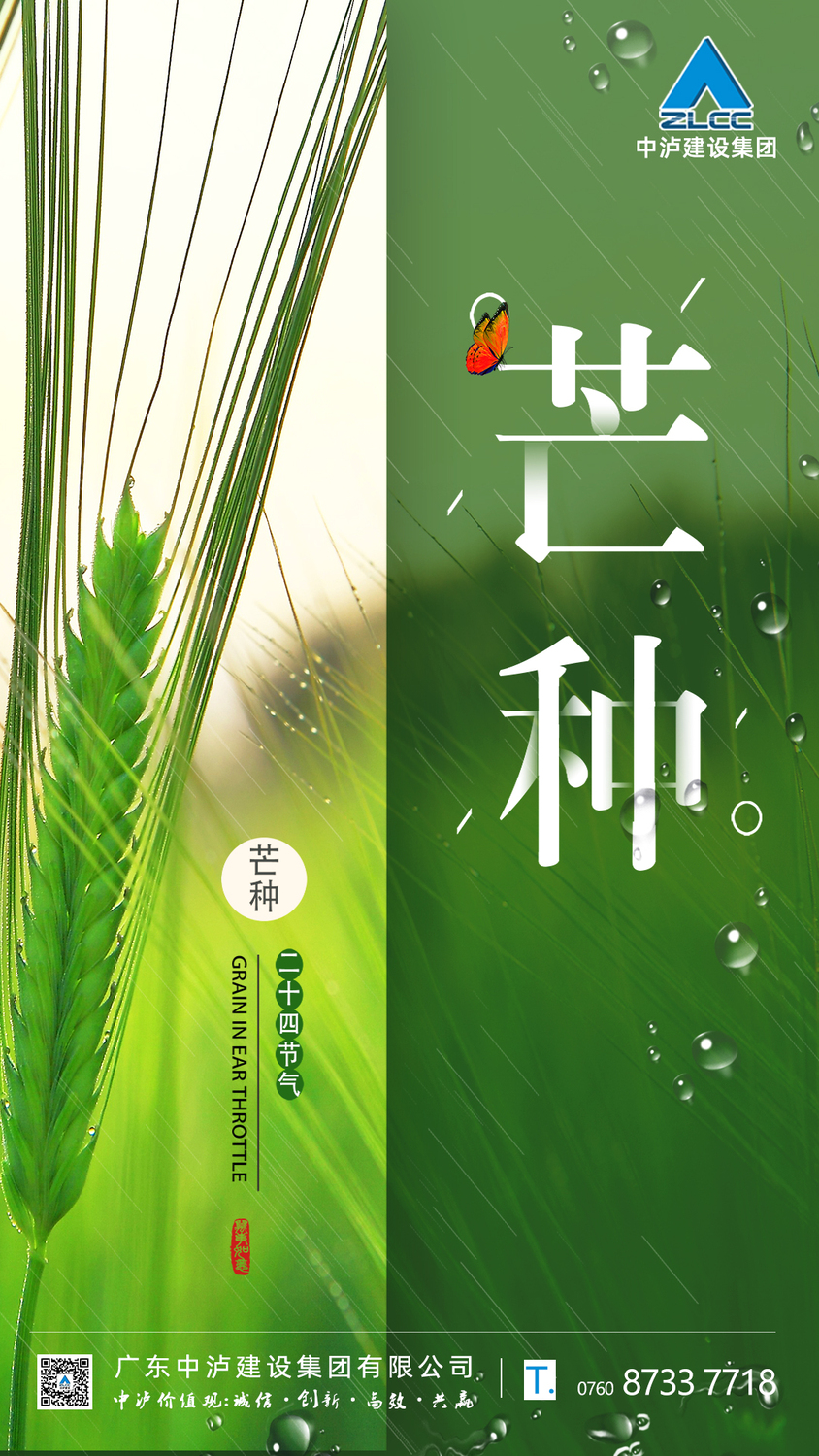 芒种-海报.jpg